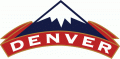 Denver Nuggets 1993 94-2002 03 Alternate Logo Print Decal