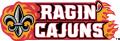 Louisiana Ragin Cajuns 2000-Pres Wordmark Logo 04 Print Decal