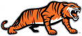 RIT Tigers 2004-Pres Alternate Logo 05 Print Decal