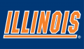 Illinois Fighting Illini 1989-2013 Wordmark Logo 04 Iron On Transfer