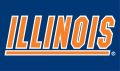 Illinois Fighting Illini 1989-2013 Wordmark Logo 04 Print Decal