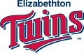 Elizabethton Twins 1987-Pres Wordmark Logo Print Decal
