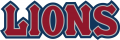 Loyola Marymount Lions 2008-2018 Wordmark Logo 02 Print Decal