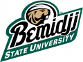 Bemidji State Beavers 2004-Pres Alternate Logo Print Decal