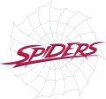 Richmond Spiders 2002-Pres Wordmark Logo 03 Print Decal