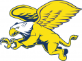 Canisius Golden Griffins 1999-2005 Secondary Logo Print Decal