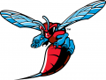 Delaware State Hornets 2004-Pres Primary Logo Iron On Transfer