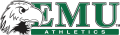 Eastern Michigan Eagles 2003-2012 Alternate Logo 01 Print Decal