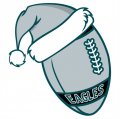 Philadelphia Eagles Football Christmas hat logo Iron On Transfer
