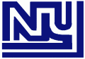 New York Giants 1975 Primary Logo Iron On Transfer