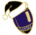 Baltimore Ravens Football Christmas hat logo Iron On Transfer