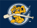 Charleston Riverdogs 2011-2015 Cap Logo Print Decal