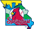 Springfield Cardinals 2005-Pres Alternate Logo Print Decal