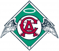 Los Angeles Angels 1965-1970 Primary Logo Print Decal