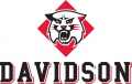 Davidson Wildcats 2010-Pres Alternate Logo 02 Iron On Transfer