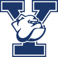Yale Bulldogs 1998-Pres Primary Logo Iron On Transfer