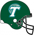 Tulane Green Wave 1998-2013 Helmet Logo Print Decal