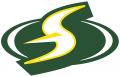 Seattle Storm 2016-Pres Alternate Logo Print Decal