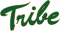 William and Mary Tribe 2009-2015 Primary Logo Print Decal