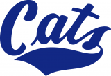 Montana State Bobcats 1982-2004 Wordmark Logo Print Decal