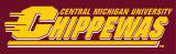 Central Michigan Chippewas 1997-Pres Wordmark Logo Print Decal