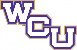 Western Carolina Catamounts 2008-Pres Wordmark Logo 05 Print Decal