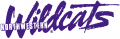 Northwestern Wildcats 1981-Pres Wordmark Logo 02 Print Decal