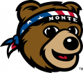 Montana Grizzlies 2010-Pres Mascot Logo 02 Print Decal