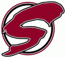 Guelph Storm 1997 98-2006 07 Alternate Logo Iron On Transfer