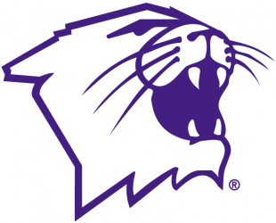 Northwestern Wildcats 1981-Pres Partial Logo 01 Iron On Transfer