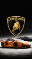 Lamborghini 02 Iron On Transfer