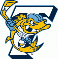 Toledo Walleye 2009 10-Pres Alternate Logo Print Decal