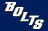 Tampa Bay Lightning 2008 09-2013 14 Jersey Logo Print Decal