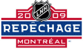 NHL Draft 2008-2009 Language Logo Iron On Transfer