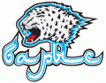 Barys Astana 2008-Pres Primary Logo Print Decal