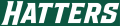 Stetson Hatters 2018-Pres Wordmark Logo Print Decal