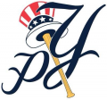 Pulaski Yankees 2015-Pres Secondary Logo Print Decal