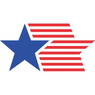 USA Logo 10 Print Decal