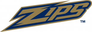 Akron Zips 2002-2013 Wordmark Logo 02 Iron On Transfer
