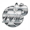 Dallas Mavericks Silver Logo Iron On Transfer