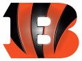 Cincinnati Bengals Plastic Effect Logo Iron On Transfer