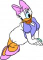 Donald Duck Logo 33 Iron On Transfer
