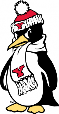 Youngstown State Penguins 1993-Pres Alternate Logo 01 Print Decal