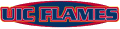 Illinois-Chicago Flames 1999-2007 Wordmark Logo Print Decal