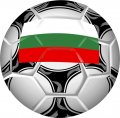 Soccer Logo 11 Iron On Transfer