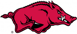 Arkansas Razorbacks 2001-2013 Primary Logo Iron On Transfer