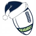 Seattle Seahawks Football Christmas hat logo Iron On Transfer