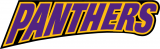 Northern Iowa Panthers 2002-2014 Wordmark Logo 01 Iron On Transfer