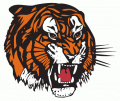 Medicine Hat Tigers 2003 04-Pres Primary Logo Print Decal