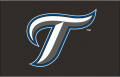 Toronto Blue Jays 2007-2011 Cap Logo Iron On Transfer